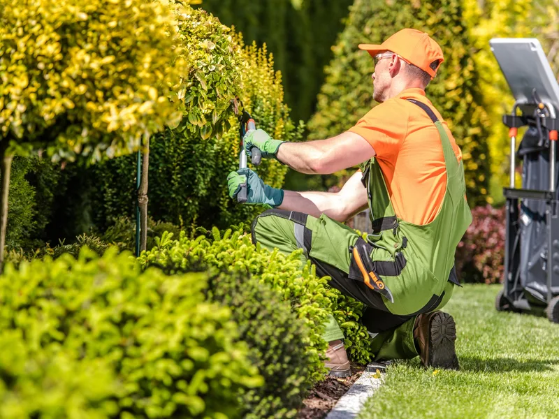 Gartenpflege in Siegen – gepflegte Gartenanlage mit Rasen und Beeten
